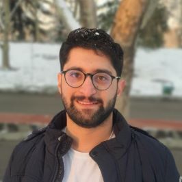 Seyed Mohammad Mahdi Khadem  Profile Picture